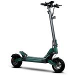 Monopattino Elettrico Honey Whale G2 Pro - 800W - Batteria 48V 15Ah - Off-Road