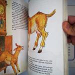 Libro di favole, Grimm, Lito editrice, del 1987, libro usato, seconda mano, ottime condizione, riciclato