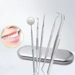 Ensemble d'hygiène dentaire en acier inoxydable - 5 outils essentiels