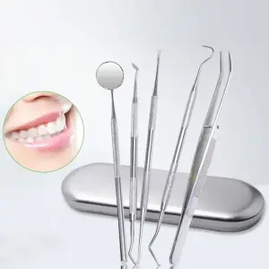 Ensemble d'hygiène dentaire en acier inoxydable - 5 outils essentiels