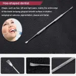Ensemble d'hygiène dentaire en acier inoxydable - 5 outils essentiels