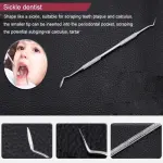 Ensemble d'hygiène dentaire en acier inoxydable - 5 outils essentiels