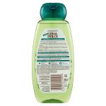 GARNIER, Ultra Dolce, Shampoo, 5 Piante per capelli normali, senza parabeni, senza siliconi, 300 ml