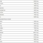 Super Mass Gainer, Viele Kalorien und viel Eiweiß ohne Verdauungsmüdigkeit, für einen formenden Körperbau, 2,7kg-Packung, Geschmacksrichtung Cookies & Cream