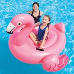 Fenicottero gigante gonfiabile 142 x 137 x 97 CM, intex