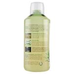 Succo aloe vera e zenzero, Equilibra, 1 L
