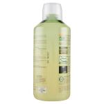Succo aloe vera e zenzero, Equilibra, 1 L