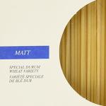 Spaghettoni, trafilati al bronzo, BIO, 500g, semola biologica di grano duro Matt, Monograno Felicetti 