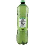 San Benedetto Thè Le Specialità Verde Matcha 1,5L