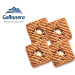 Galbusera GranSaraceno Sablés de blé entier avec des gouttes de chocolat et de la farine type 2