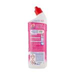 WC Netz Bleichmittel Gel duftend blumenfrisch