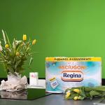 Asciugoni Regina Carta Cucina 24 Rotoli a 2 veli, Carta 100% certificata FSC