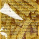 Divella 024 Cannerozzetti - 500 gr