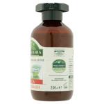 antica erboristeria nettle 250ml