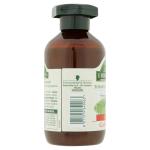 antica erboristeria nettle 250ml
