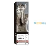 COLONNA DOCCIA HAKURAA