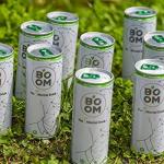 NATURALBOOM, Il primo Mental Drink al Mondo, a base di the verde, zenzero e altri ingredienti, 12 Lattine