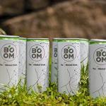 NATURALBOOM, Il primo Mental Drink al Mondo, a base di the verde, zenzero e altri ingredienti, 12 Lattine