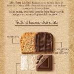 Mulino Bianco Mini Fette Integrali con Cioccolato Fondente, 110g