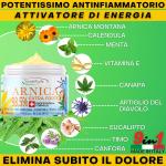 Arnica gel Extra Forte 98,5% 500 ml, Arnica per cavalli uso umano, artiglio del diavolo, con vitamina E, olio di canapa, calendula e canfora, per dolori muscolari e cervicale