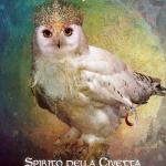 L' oracolo degli spiriti animali. Con 68 Carte di Colette Baron-Reid